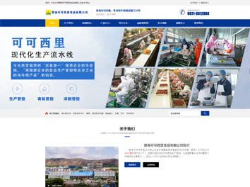 承接青海可可西里食品有限公司官網